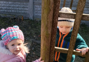 Dzieci bawią się w ogródku zielonym przy przedszkolu.