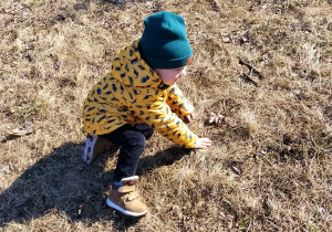 Dzieci bawią się w ogródku zielonym przy przedszkolu.