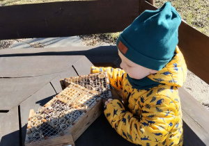 Dzieci bawią się w ogródku zielonym przy przedszkolu.