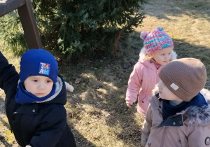 Dzieci bawią się w ogródku zielonym przy przedszkolu.