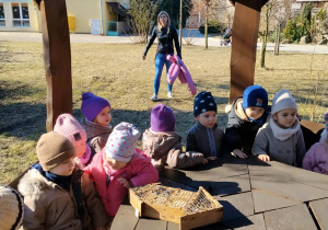 Dzieci bawią się w ogródku zielonym przy przedszkolu.