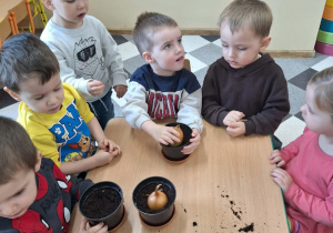 Dzieci sadzą cebulki kwiatów w doniczkach.