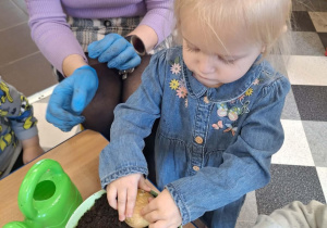 Dzieci sadzą cebulki kwiatów w doniczkach.