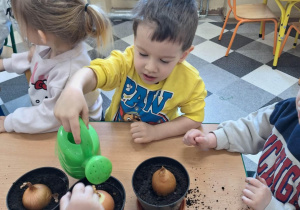 Dzieci sadzą cebulki kwiatów w doniczkach.