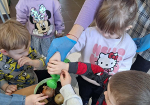 Dzieci sadzą cebulki kwiatów w doniczkach.