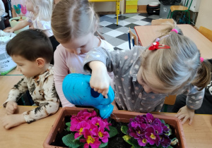 Dzieci sadzą kwiatki.