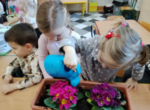 Sadzimy kwiatki na wiosnę"