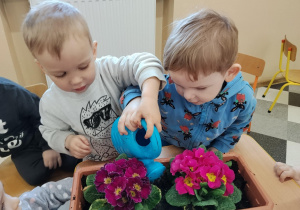 Dzieci sadzą kwiatki.