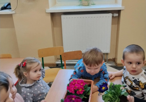 Dzieci sadzą kwiatki.