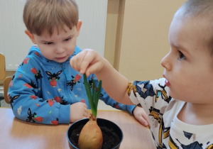 Dzieci sadzą kwiatki.