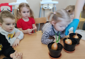 Dzieci sadzą kwiatki.