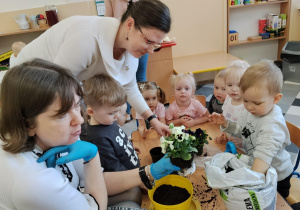 Dzieci sadzą kwiatki.