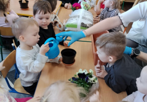 Dzieci sadzą kwiatki.