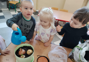 Dzieci sadzą kwiatki.