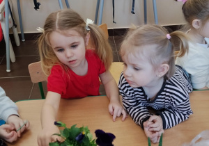 Dzieci sadzą kwiatki.